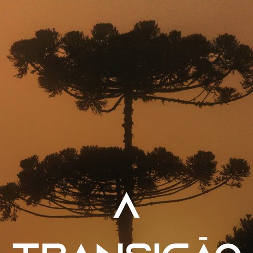 Capa do vídeo de apresentação da nova fase da Pinha Criativa