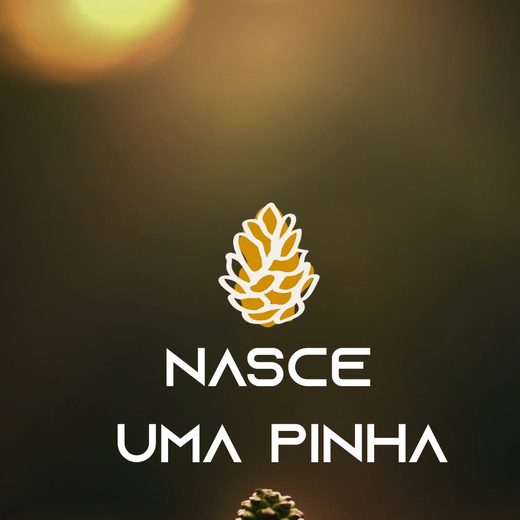 Capa do vídeo de apresentação da Pinha Criativa
