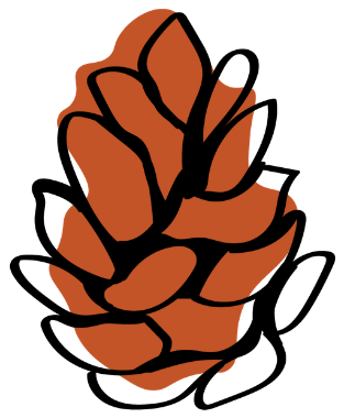 Pinha desenhada à mão